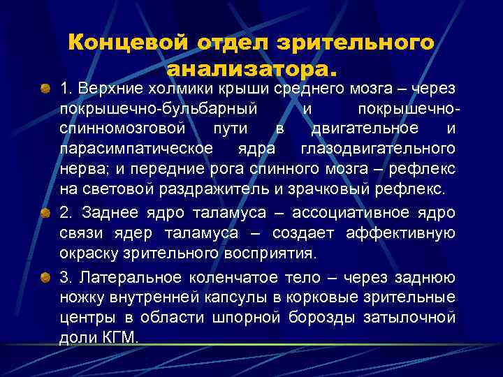Концевой отдел зрительного анализатора. 1. Верхние холмики крыши среднего мозга – через покрышечно-бульбарный и