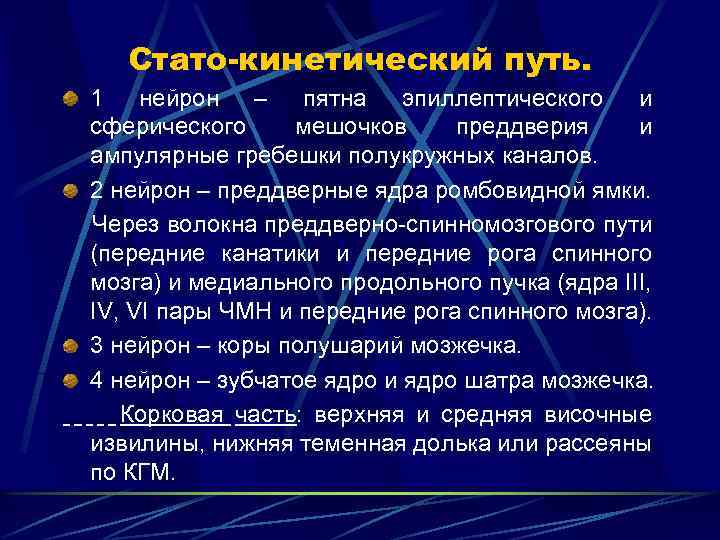Стато-кинетический путь. 1 нейрон – пятна эпиллептического и сферического мешочков преддверия и ампулярные гребешки