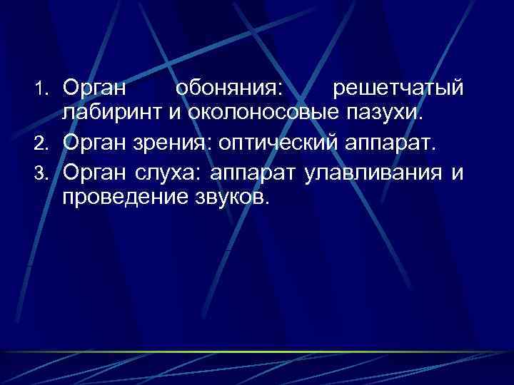 1. Орган обоняния: решетчатый лабиринт и околоносовые пазухи. 2. Орган зрения: оптический аппарат. 3.