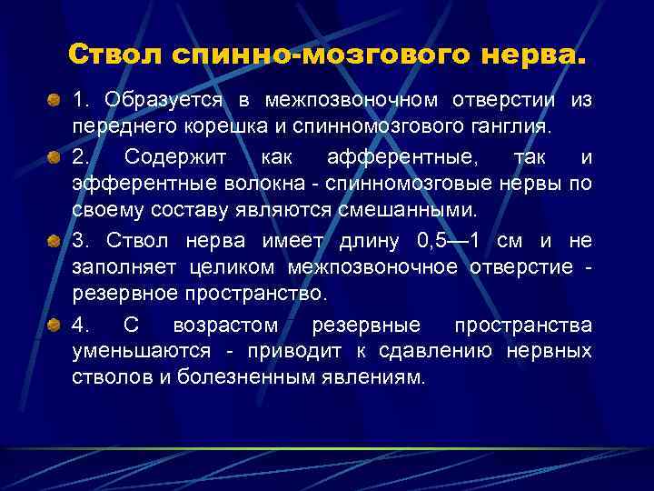 Ствол спинно-мозгового нерва. 1. Образуется в межпозвоночном отверстии из переднего корешка и спинномозгового ганглия.