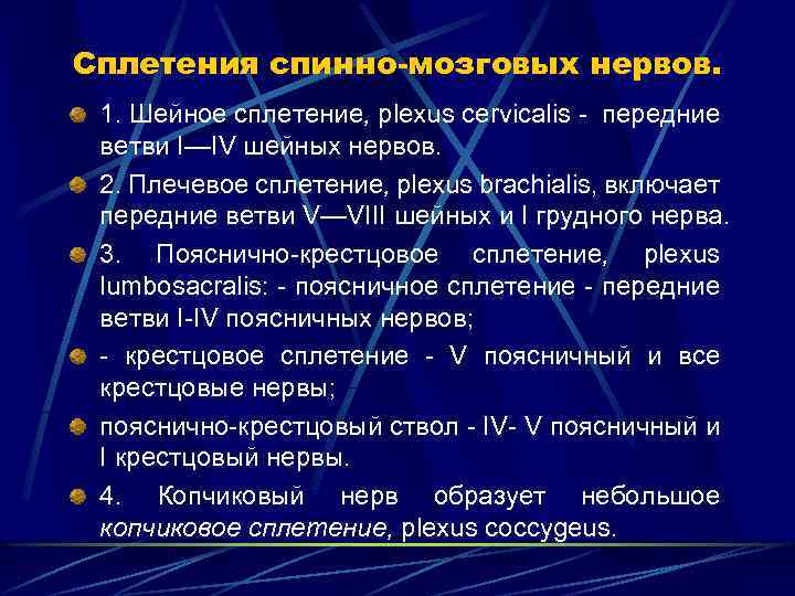 Сплетения спинно-мозговых нервов. 1. Шейное сплетение, plexus cervicalis - передние ветви I—IV шейных нервов.