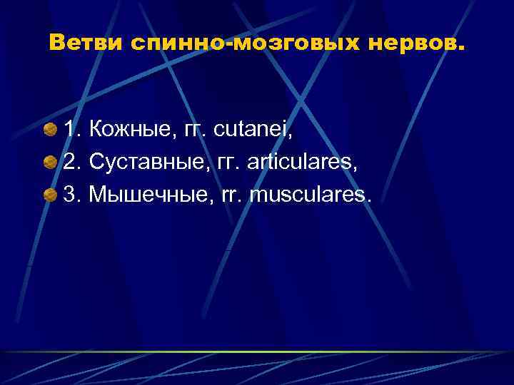 Ветви спинно-мозговых нервов. 1. Кожные, гг. cutanei, 2. Суставные, гг. articulares, 3. Мышечные, rr.