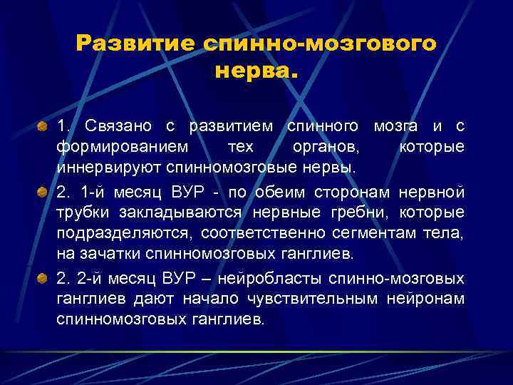 Развитие спинно-мозгового нерва. 1. Связано с развитием спинного мозга и с формированием тех органов,