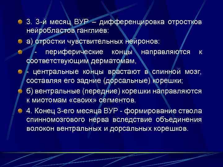3. 3 -й месяц ВУР – дифференцировка отростков нейробластов ганглиев: а) отростки чувствительных нейронов: