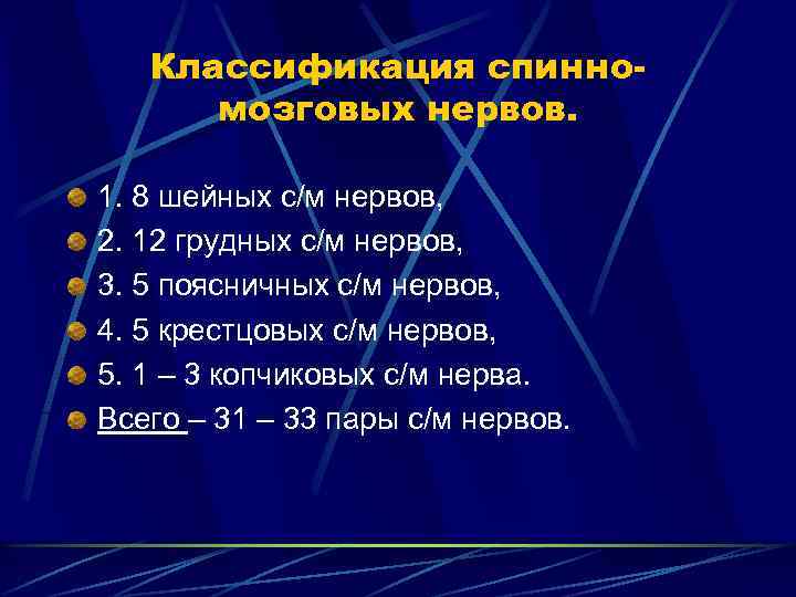 Классификация спинномозговых нервов. 1. 8 шейных с/м нервов, 2. 12 грудных с/м нервов, 3.