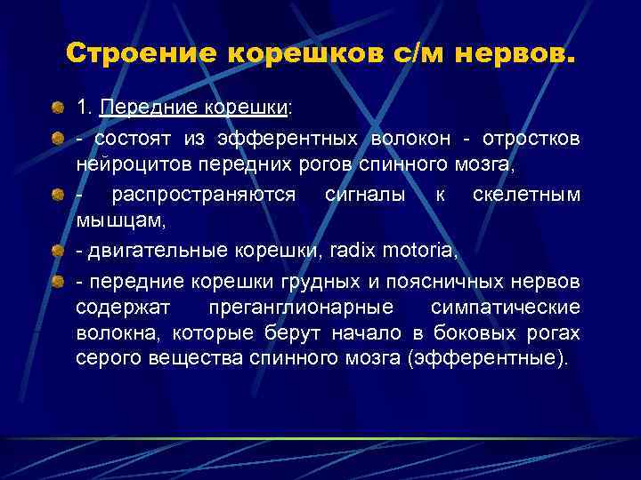 Строение корешков с/м нервов. 1. Передние корешки: - состоят из эфферентных волокон - отростков