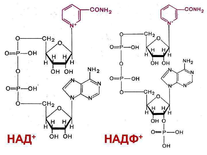 Надф поглощение