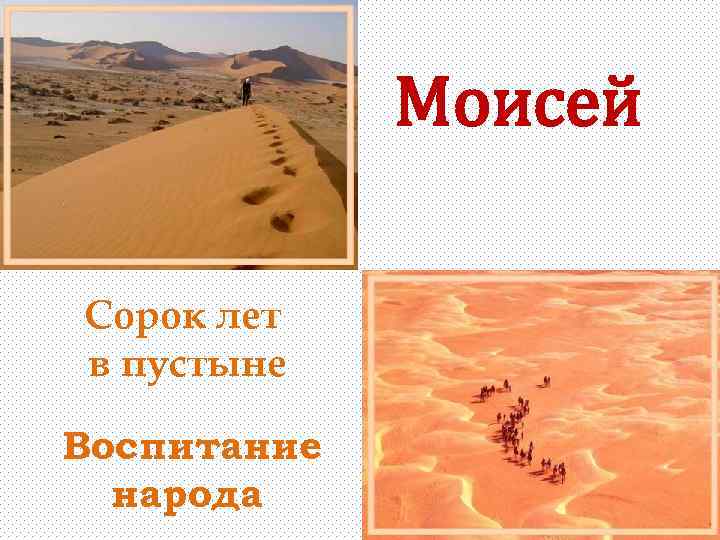 Моисей Сорок лет в пустыне Воспитание народа 