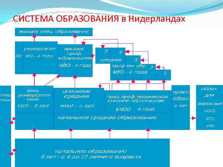 Образование в нидерландах презентация