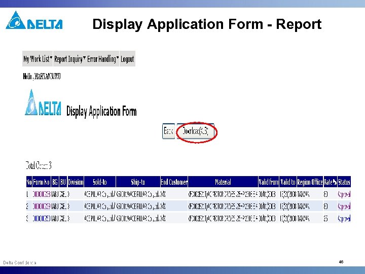 Display Application Form - Report 46 