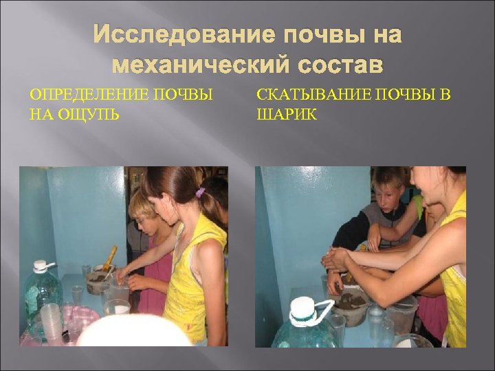 Исследование почвы на механический состав ОПРЕДЕЛЕНИЕ ПОЧВЫ НА ОЩУПЬ СКАТЫВАНИЕ ПОЧВЫ В ШАРИК 