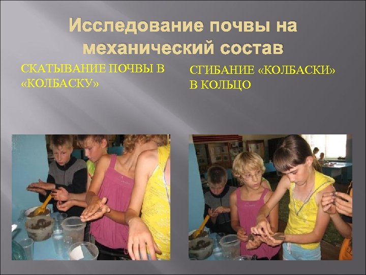 Исследование почвы на механический состав СКАТЫВАНИЕ ПОЧВЫ В «КОЛБАСКУ» СГИБАНИЕ «КОЛБАСКИ» В КОЛЬЦО 