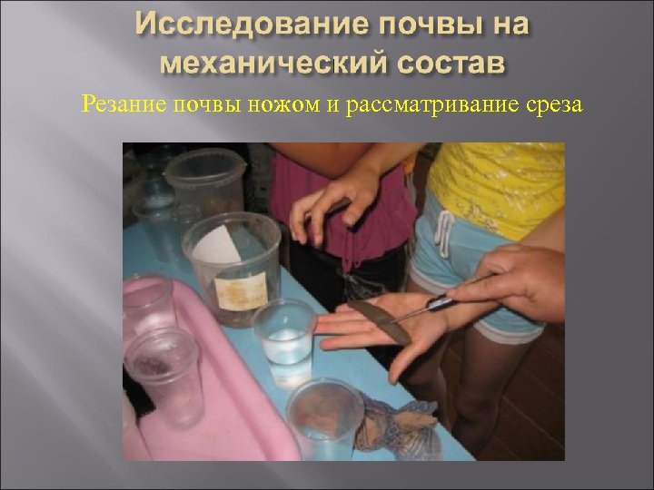 Резание почвы ножом и рассматривание среза 