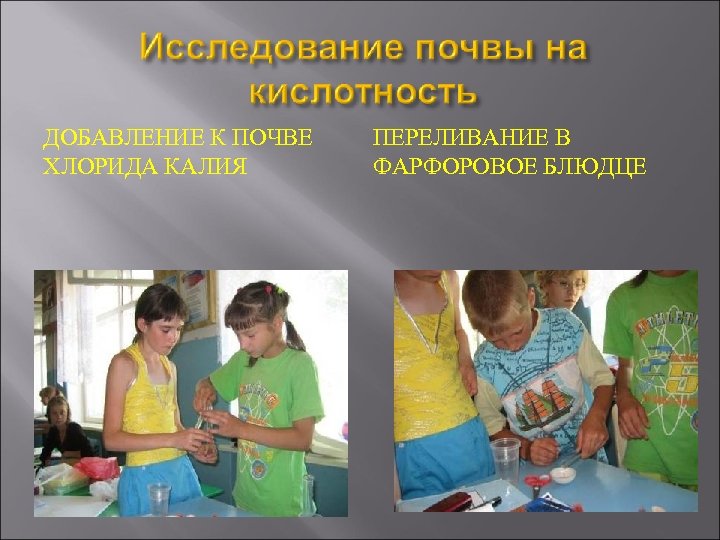 ДОБАВЛЕНИЕ К ПОЧВЕ ХЛОРИДА КАЛИЯ ПЕРЕЛИВАНИЕ В ФАРФОРОВОЕ БЛЮДЦЕ 