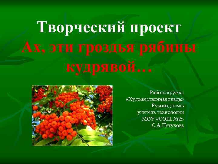 Творческий проект Ах, эти гроздья рябины кудрявой… Работа кружка «Художественная гладь» Руководитель учитель технологии