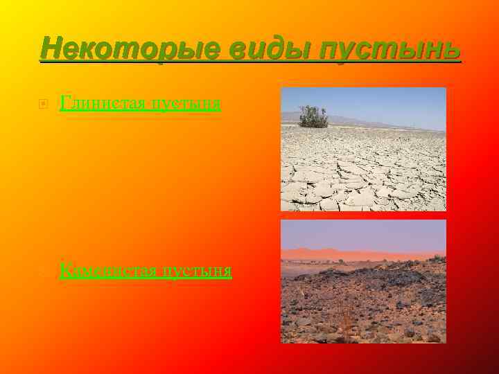 Некоторые виды пустынь Глинистая пустыня Каменистая пустыня 
