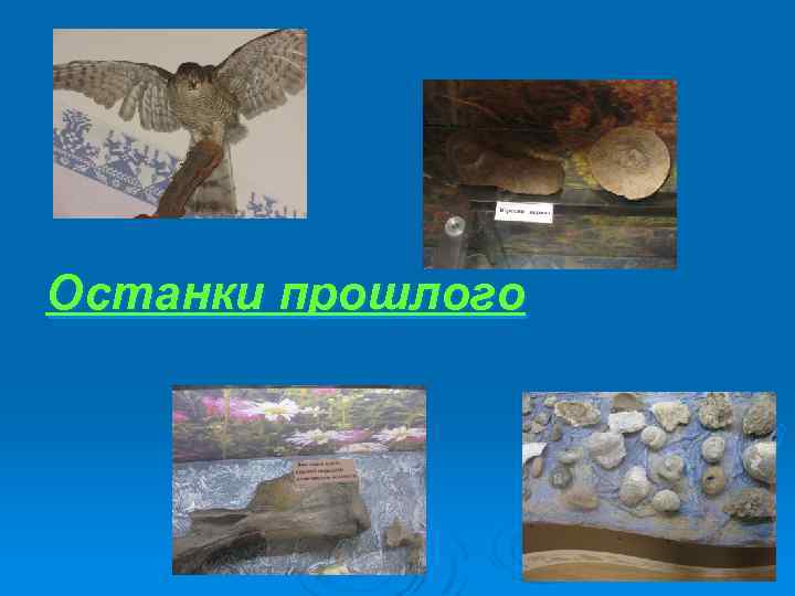 Останки прошлого 