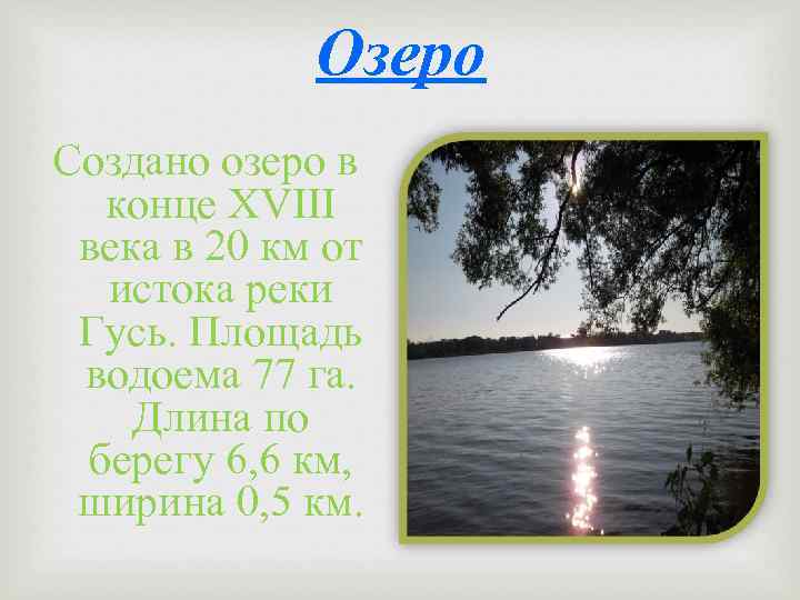 Озеро Создано озеро в конце XVIII века в 20 км от истока реки Гусь.