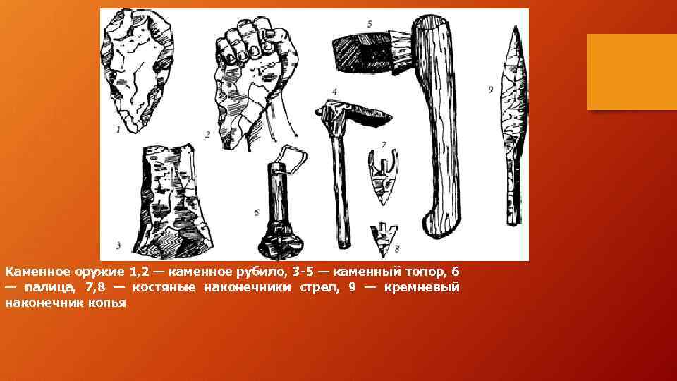 Последовательность использования предками человека орудий. Орудия труда кроманьонцев. Каменные орудия древних людей. Каменное оружие первобытных людей.