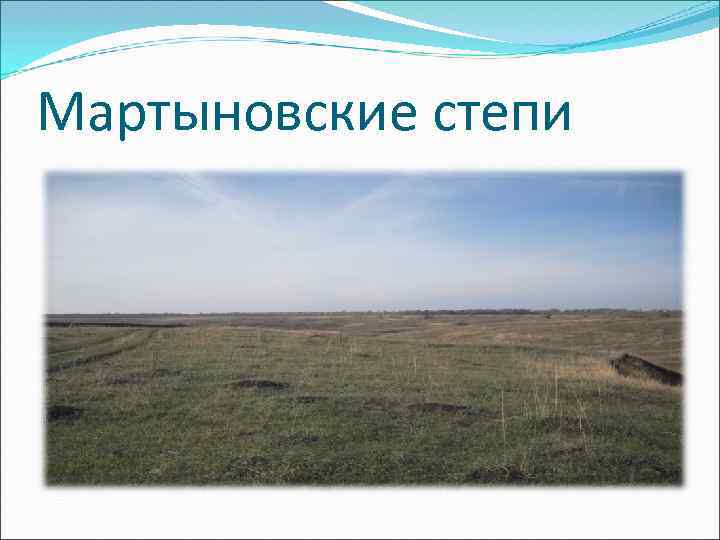 Мартыновские степи 