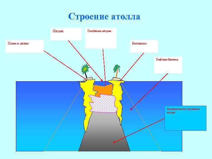 Образование атолла схема