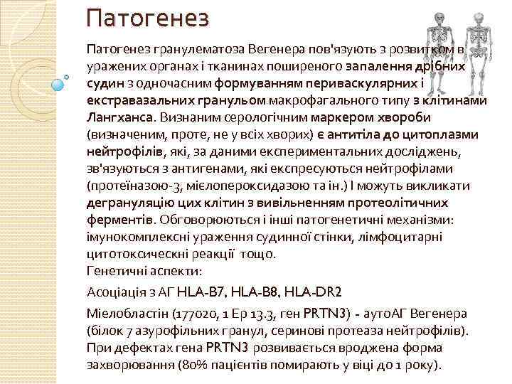 Патогенез гранулематоза Вегенера пов'язують з розвитком в уражених органах і тканинах поширеного запалення дрібних