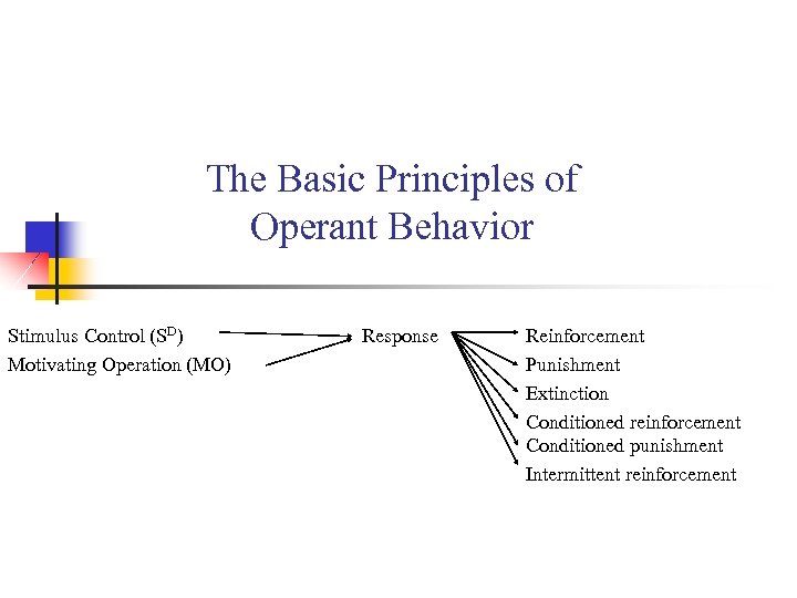 The Basic Principles of Operant Behavior Stimulus Control (SD) Motivating Operation (MO) Response Reinforcement