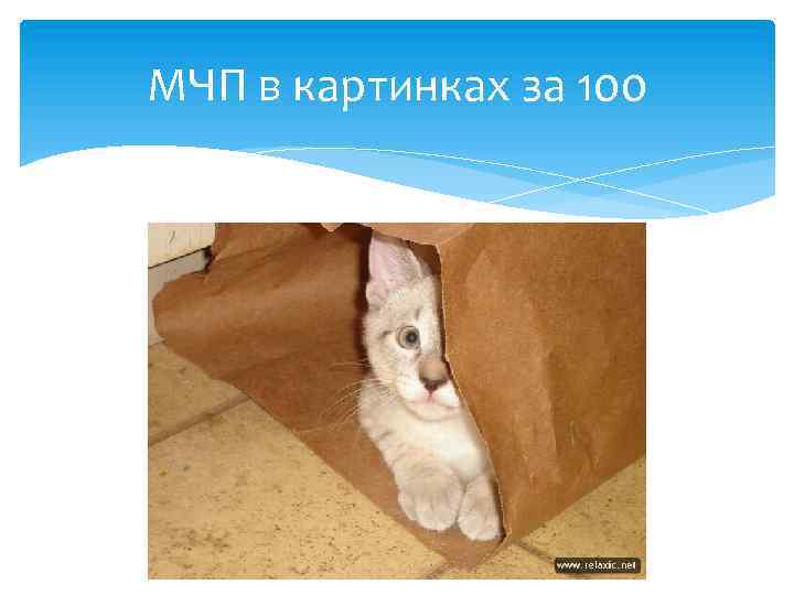 МЧП в картинках за 100 