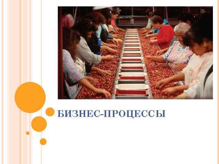 БИЗНЕС-ПРОЦЕССЫ 