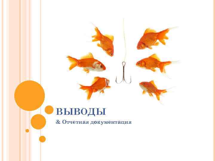 ВЫВОДЫ & Отчетная документация 