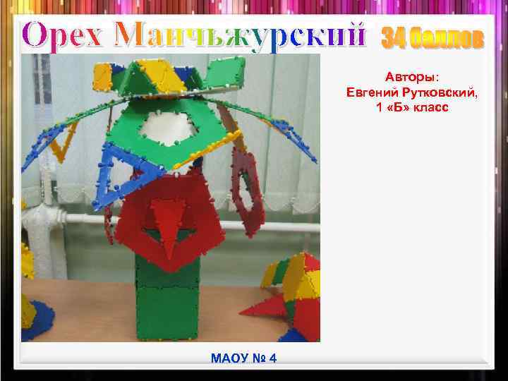 Авторы: Евгений Рутковский, 1 «Б» класс МАОУ № 4 