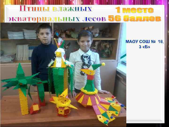 МАОУ СОШ № 18, 3 «Б» 