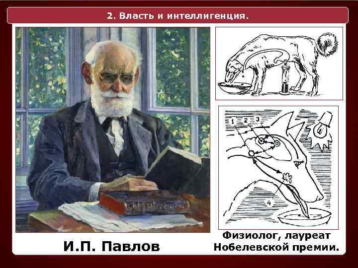 2. Власть и интеллигенция. И. П. Павлов Физиолог, лауреат Нобелевской премии. 