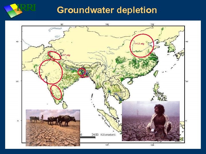 Groundwater depletion 1 -1. 5 m/y 0. 7 m/y Arsenic! IRRI: Rice Production Course