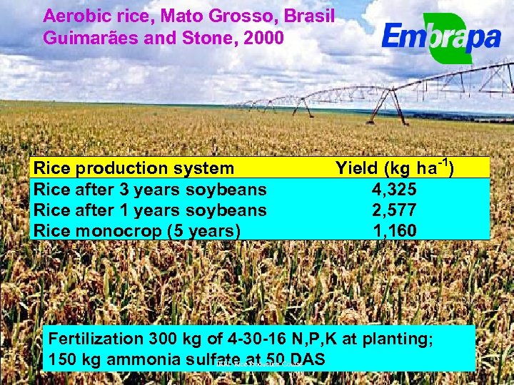 Aerobic rice, Mato Grosso, Brasil Guimarães and Stone, 2000 Rice production system Rice after