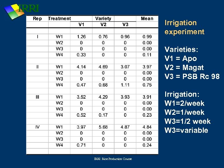 Irrigation experiment Varieties: V 1 = Apo V 2 = Magat V 3 =