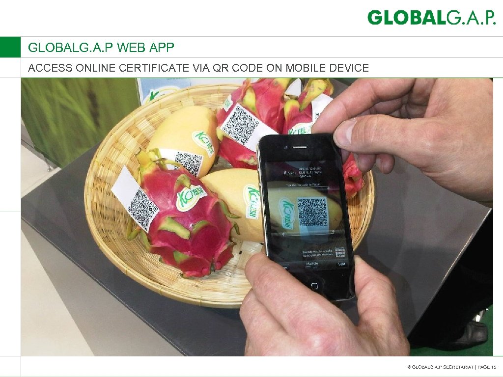 GLOBALG. A. P WEB APP ACCESS ONLINE CERTIFICATE VIA QR CODE ON MOBILE DEVICE