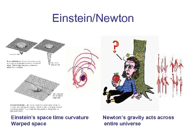 Einstein/Newton Einstein’s space time curvature Newton’s gravity acts across Warped space entire universe 