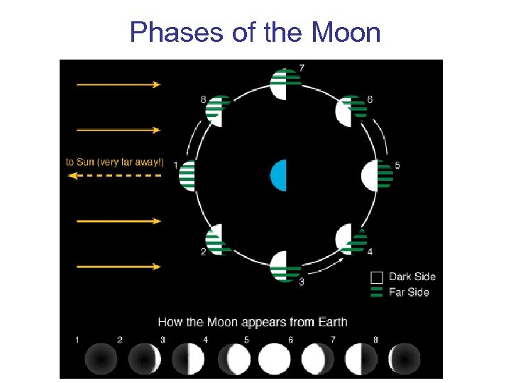 Phases of the Moon 