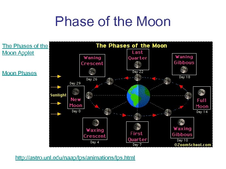 Phase of the Moon The Phases of the Moon Applet Moon Phases http: //astro.