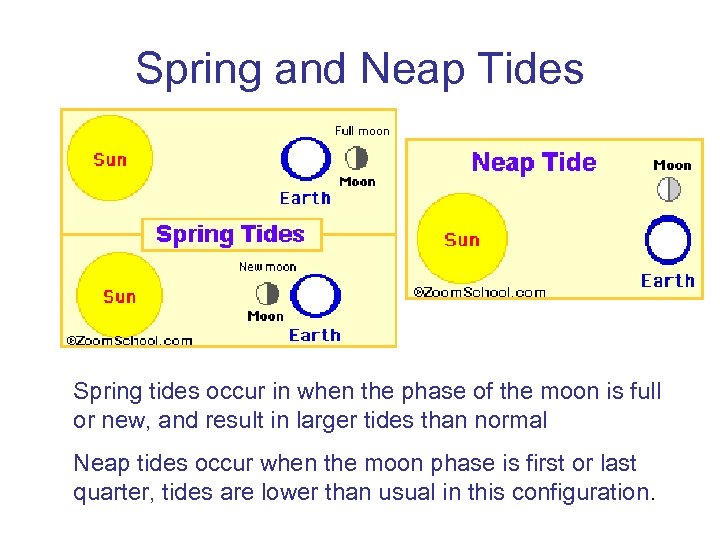 Spring and Neap Tides Spring tides occur in when the phase of the moon