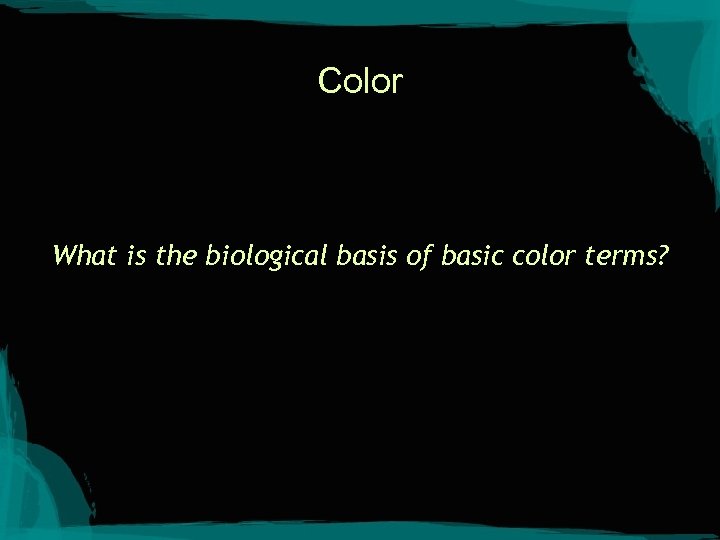 Color What is the biological basis of basic color terms? 