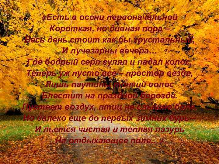  «Есть в осени первоначальной Короткая, но дивная пора – Весь день стоит как