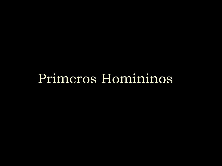 Primeros Homininos 