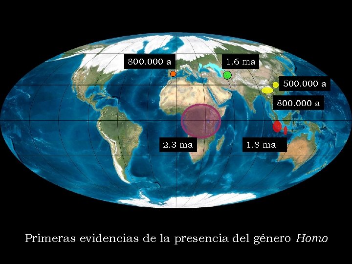 800. 000 a 1. 6 ma 500. 000 a 800. 000 a 2. 3
