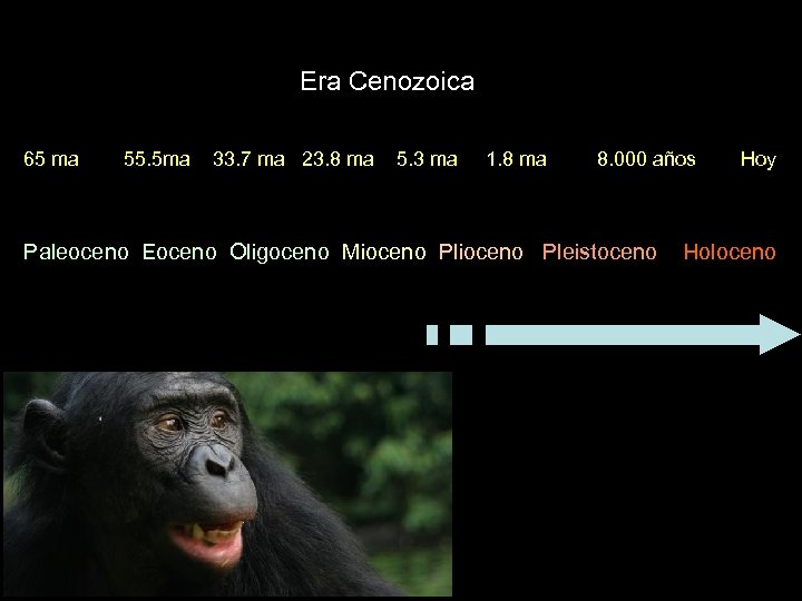 Era Cenozoica 65 ma 55. 5 ma 33. 7 ma 23. 8 ma 5.