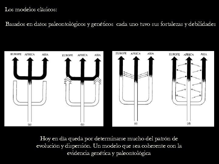 Los modelos clásicos: Basados en datos paleontológicos y genéticos cada uno tuvo sus fortalezas