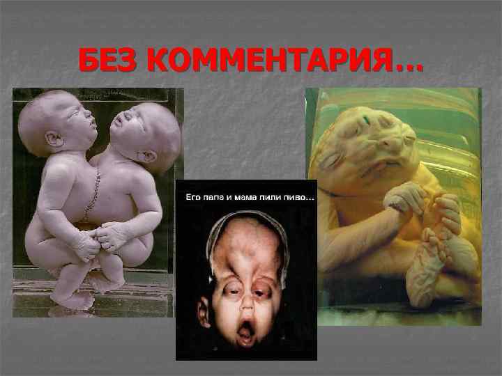 БЕЗ КОММЕНТАРИЯ… 