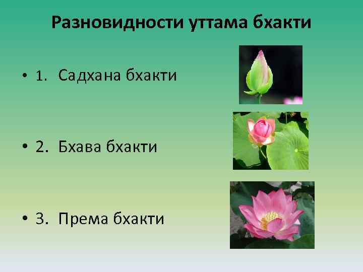 Разновидности уттама бхакти • 1. Садхана бхакти • 2. Бхава бхакти • 3. Према