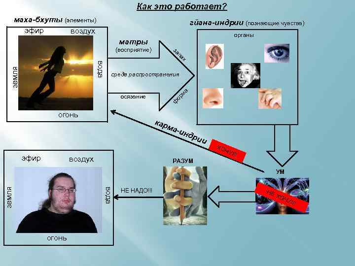 Как это работает? маха-бхуты (элементы) эфир воздух гйана-индрии (познающие чувства) органы матры за (восприятие)